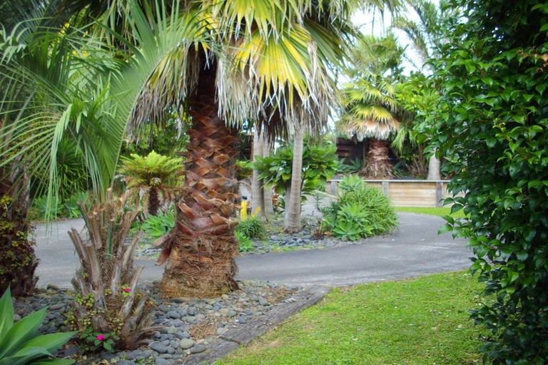 Photo of property in 295 Don Buck Road, Massey, Auckland, 0614