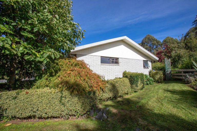 Photo of property in 8 Ameku Road, Raetihi, 4632