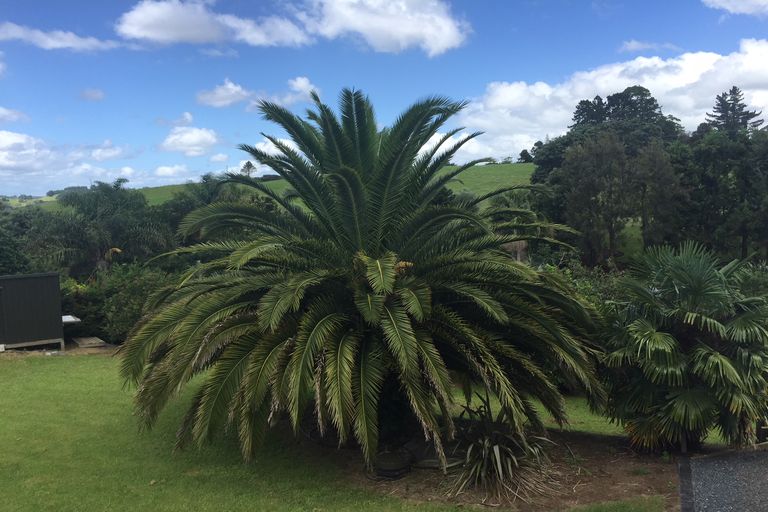 Photo of property in 31b Skudders Beach Road, Kerikeri, 0294