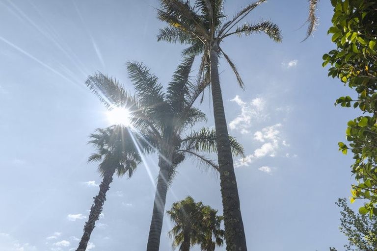 Photo of property in 23 Dan Tori Place, Orewa, 0931