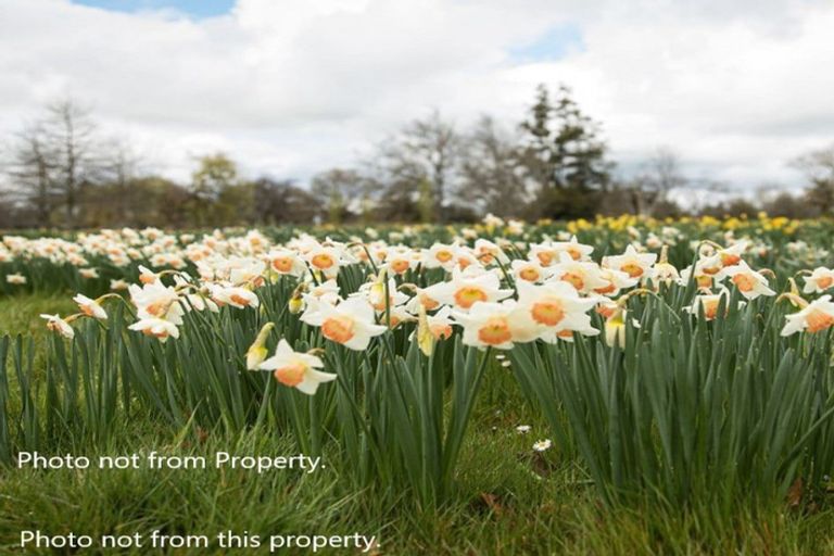 Photo of property in 109d Kyle Road, Waipukurau, 4281