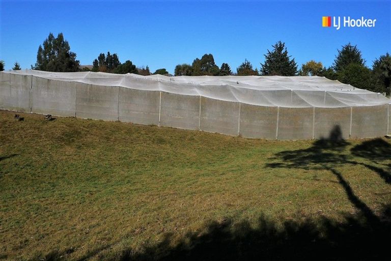 Photo of property in 1a Roseness Street, Palmerston, 9430