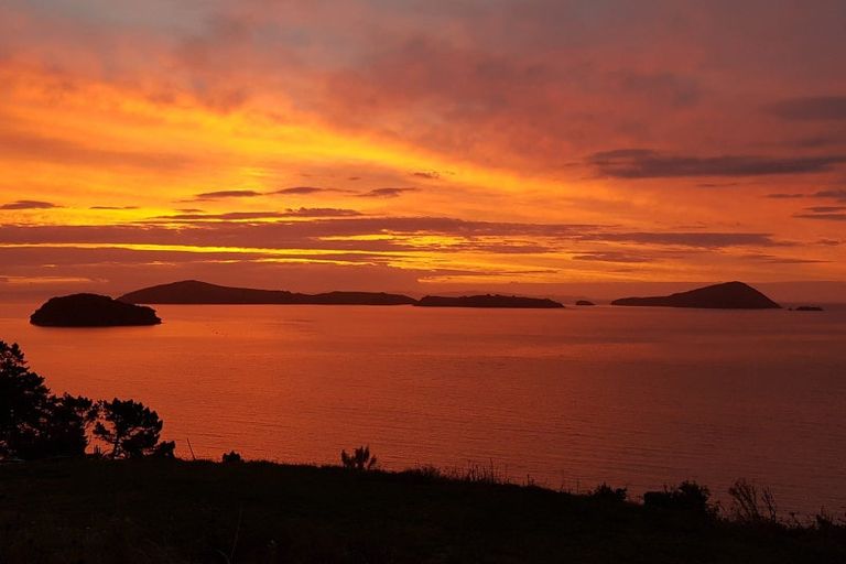 Photo of property in 1002 Wyuna Bay Road, Wyuna Bay, Coromandel, 3581