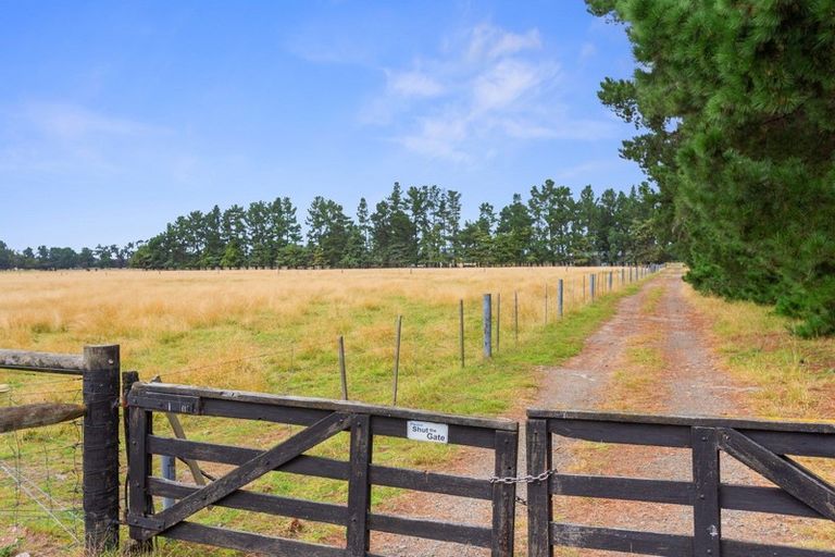 Photo of property in 317 Innes Road, Glasnevin, Amberley, 7482