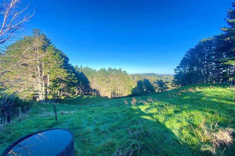 Photo of property in 482 Krippner Road, Puhoi, Warkworth, 0994