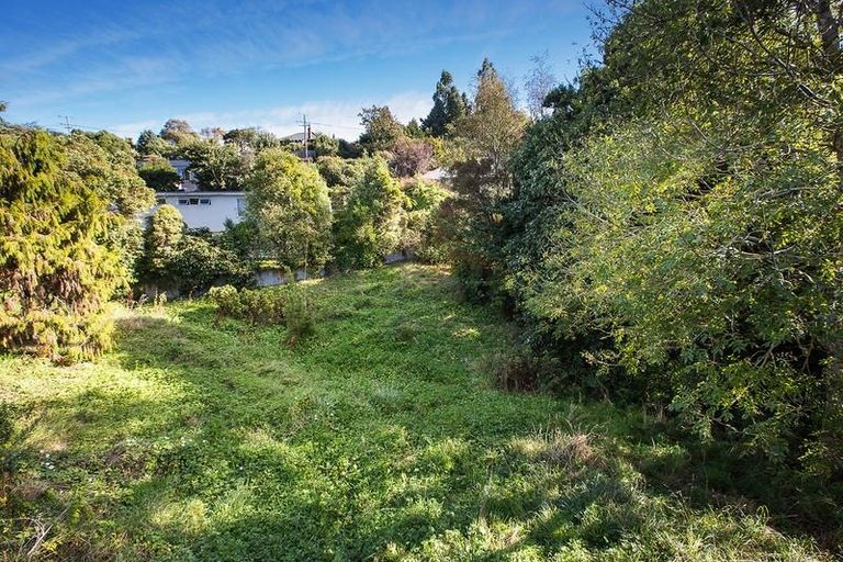 Photo of property in 10 Ryan Street, Portobello, Dunedin, 9014