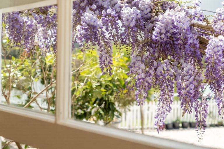 Photo of property in 5 Hook Road, Paparoa, 0571