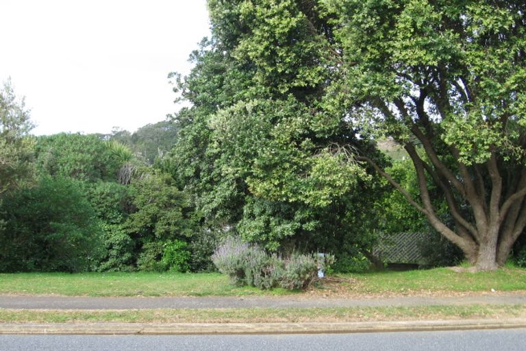 Photo of property in 205 Russell Bruce Place, Onemana, Whangamata, 3691