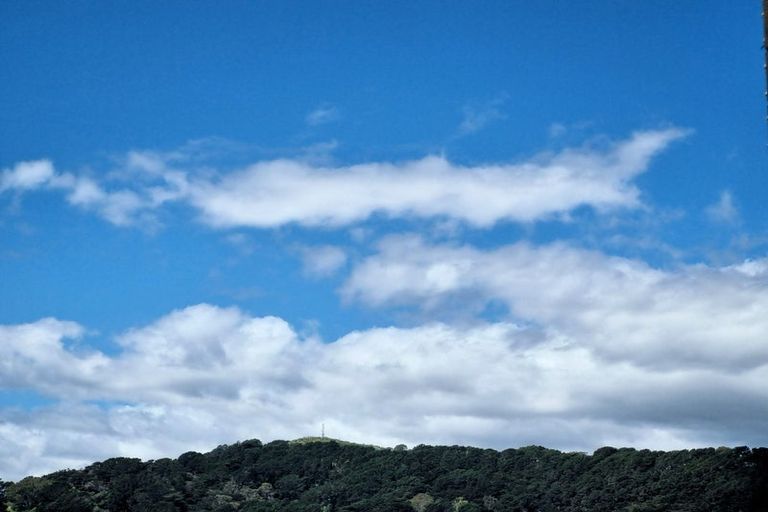 Photo of property in Martin Square Apartments, 507/20 Martin Square, Te Aro, Wellington, 6011