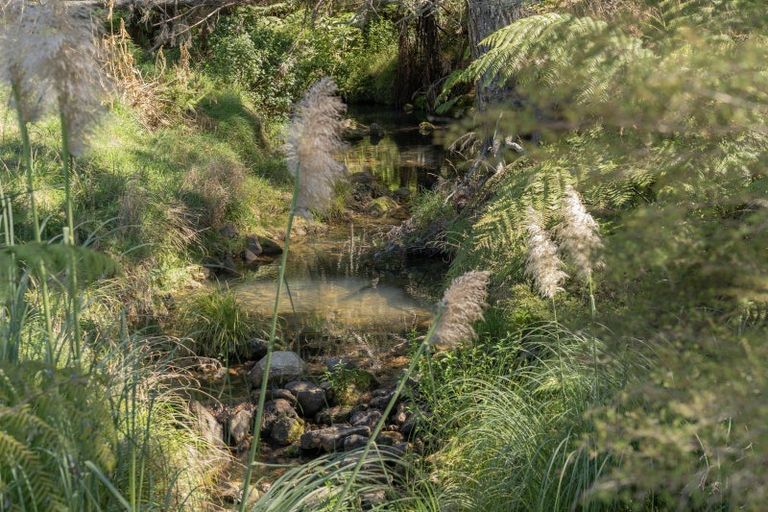 Photo of property in 403 Purangi Road, Purangi, Whitianga, 3591