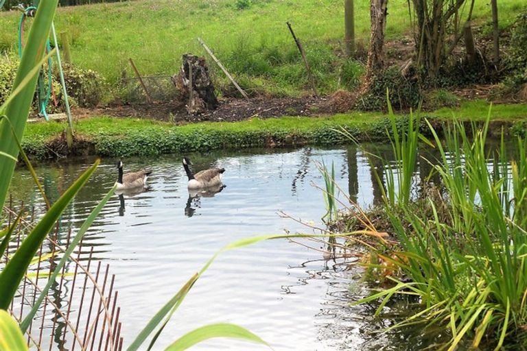 Photo of property in 24 Evans Street, Temuka, 7920