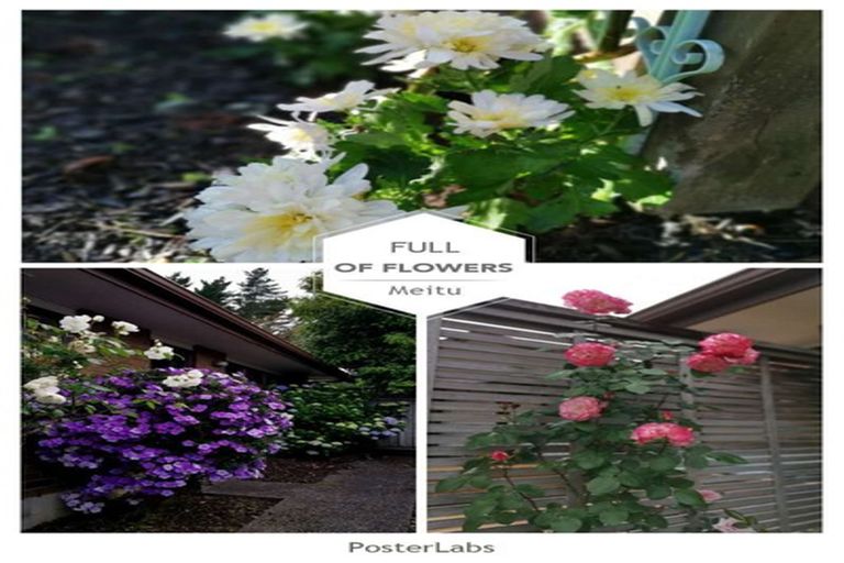 Photo of property in 14 Maryann Place, Greenhithe, Auckland, 0632