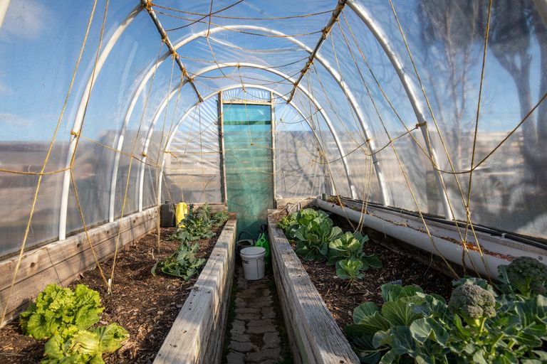 Photo of property in 26 Eureka Street, Alexandra, 9320