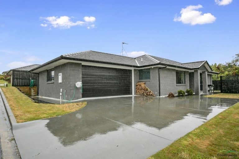 Photo of property in 24 Cambridge Street, Putaruru, 3411