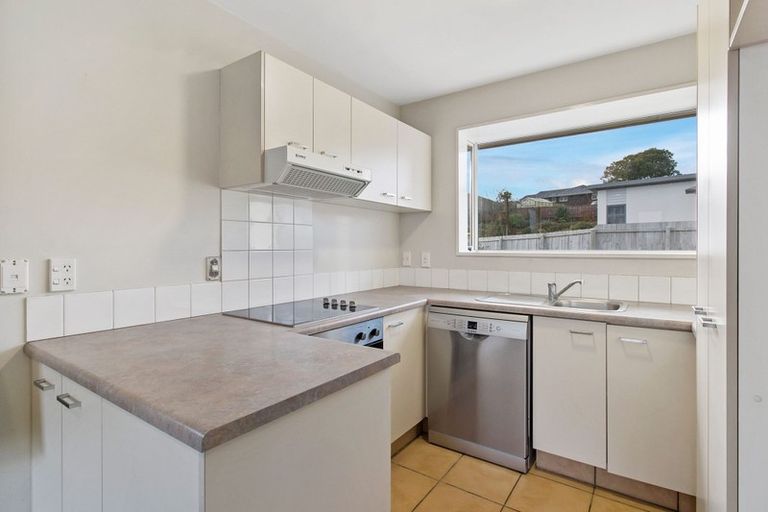 Photo of property in 19-21 Lachlan Place, Marchwiel, Timaru, 7910