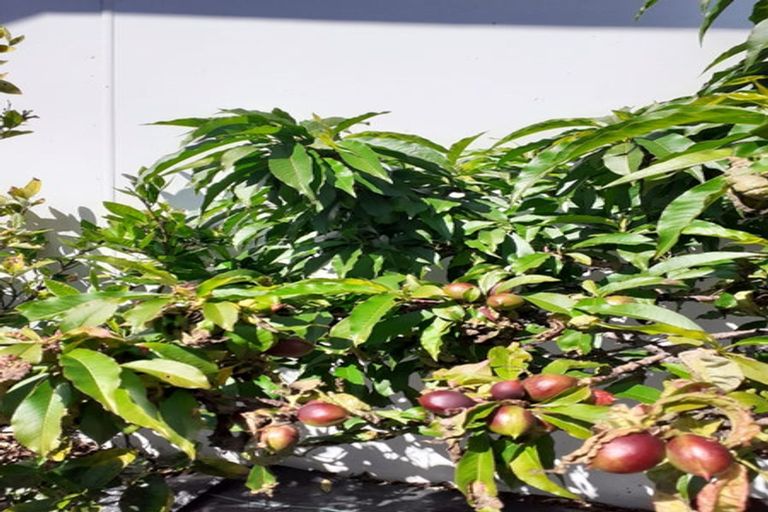 Photo of property in 1/294 Travis Road, New Brighton, Christchurch, 8083