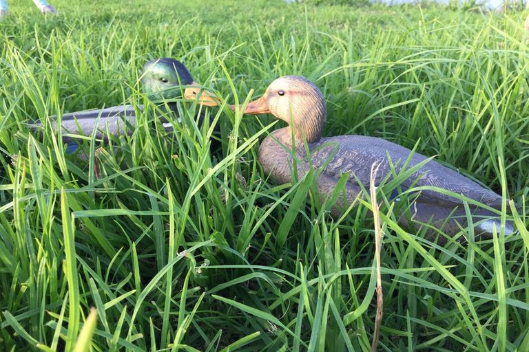 Photo of property in 5 Ronas Place, Kaingaroa, Kaitaia, 0483