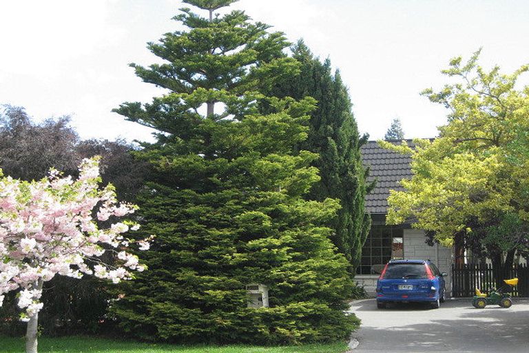 Photo of property in 11a Adams Lane, Springlands, Blenheim, 7201