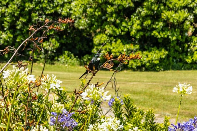 Photo of property in 516 Clova Bay Road, Totaranui, Picton, 7282