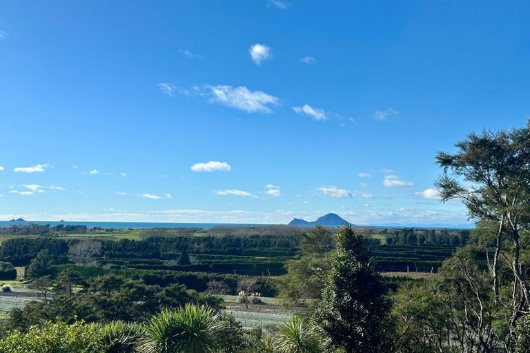 Photo of property in 3 Kereru Lane, Matata, 3194