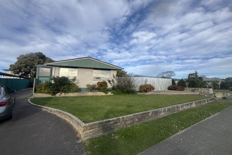 Photo of property in 20 Plunket Street, Tamatea, Napier, 4112