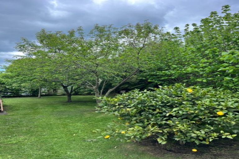 Photo of property in 6 Morunga Street, Omori, Turangi, 3381