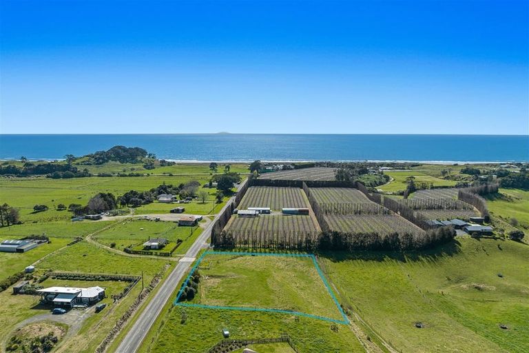 Photo of property in 61 Tirohanga Road, Tirohanga, Opotiki, 3197