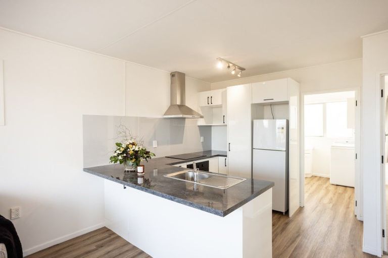 Photo of property in 19f Sheen Street, Roslyn, Dunedin, 9010