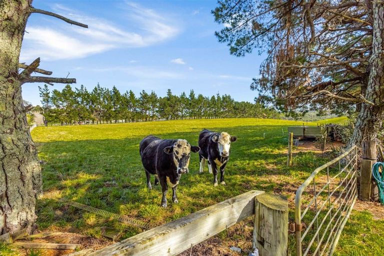 Photo of property in 192 Muriwai Valley Road, Muriwai, Waimauku, 0881