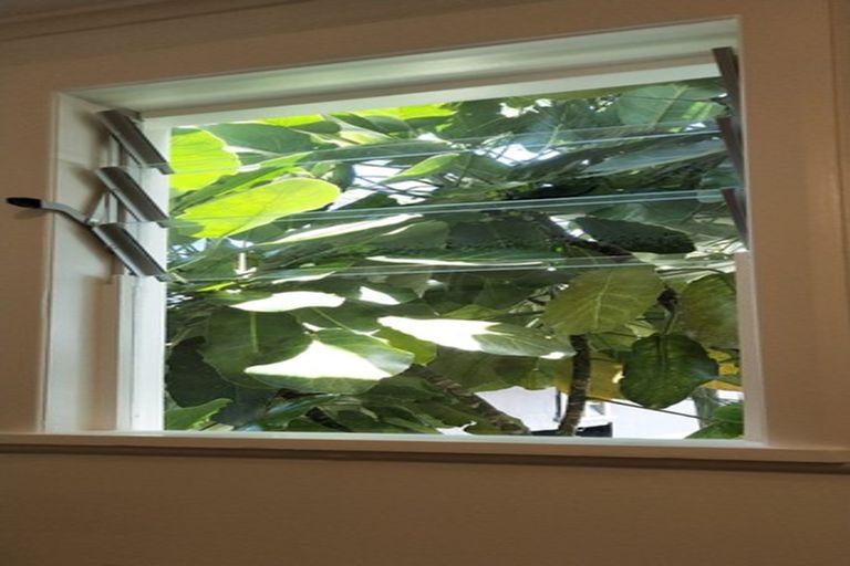 Photo of property in 8 Evelyn Street, Eden Terrace, Auckland, 1021