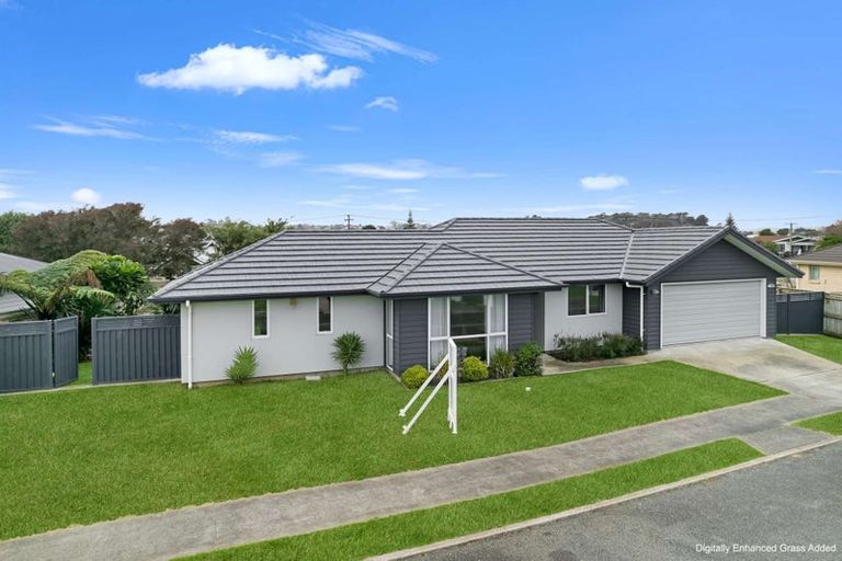 Photo of property in 10 Buckingham Place, Springvale, Whanganui, 4501