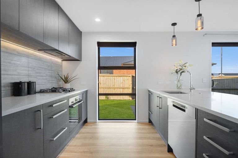 Photo of property in 101 Ed Hillary Drive, Rolleston, 7615