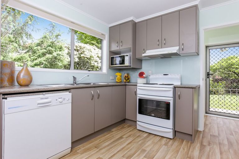 Photo of property in 16 Hinerau Street, Henderson, Auckland, 0612