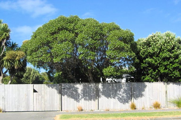 Photo of property in 137 Rocking Horse Road, Southshore, Christchurch, 8062