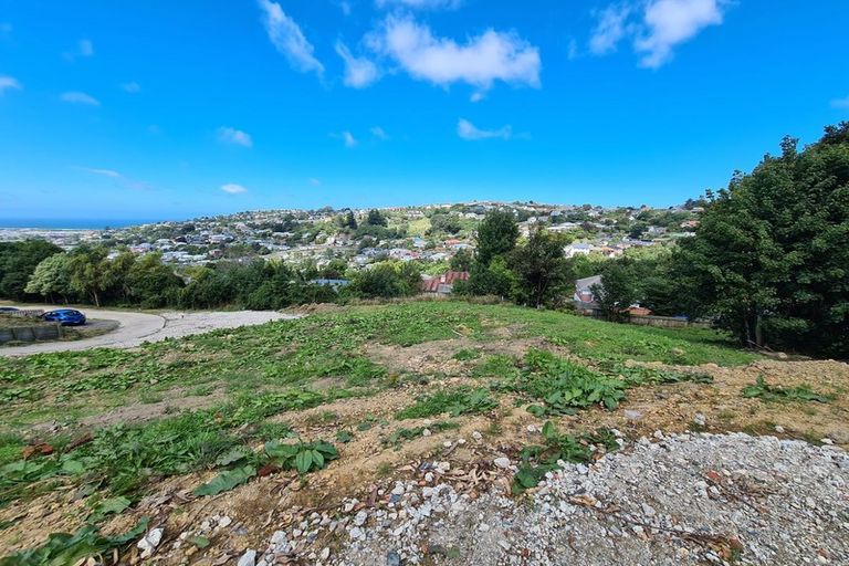 Photo of property in 20 Thomson Street, Lookout Point, Dunedin, 9011