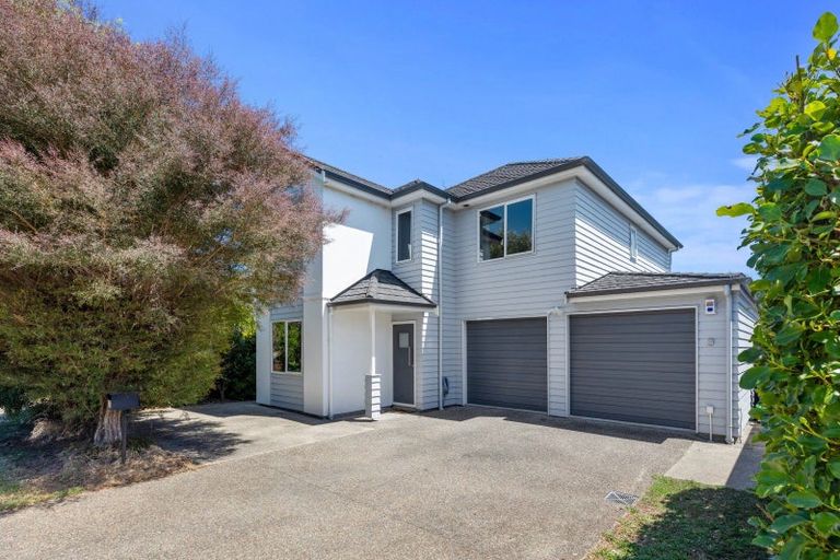 Photo of property in 135 Landing Drive, Pyes Pa, Tauranga, 3112