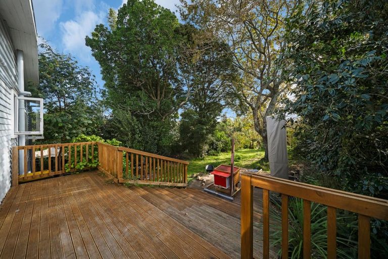 Photo of property in 117 Hutchinson Avenue, New Lynn, Auckland, 0600