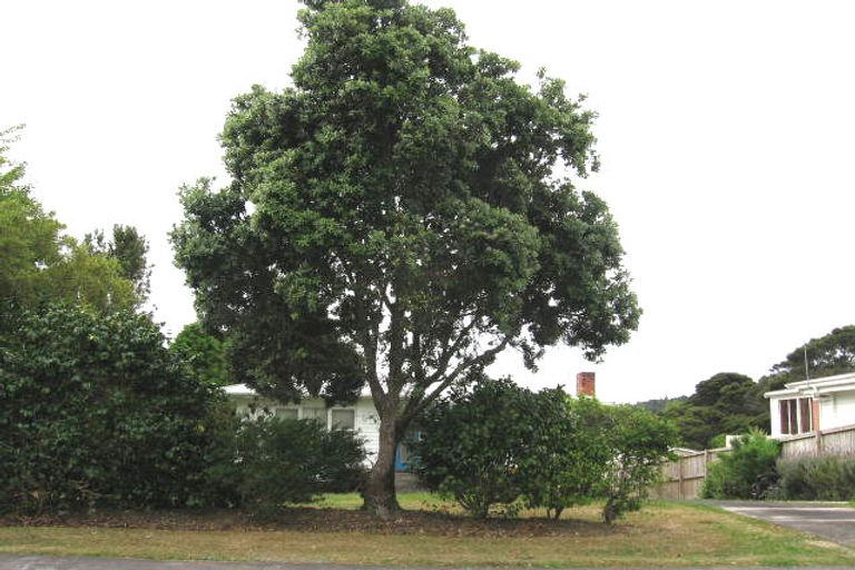 Photo of property in 14 Paramu Avenue, Birkdale, Auckland, 0626