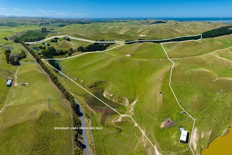 Photo of property in 363 Caseys Road, Lake Grassmere, Seddon, 7285