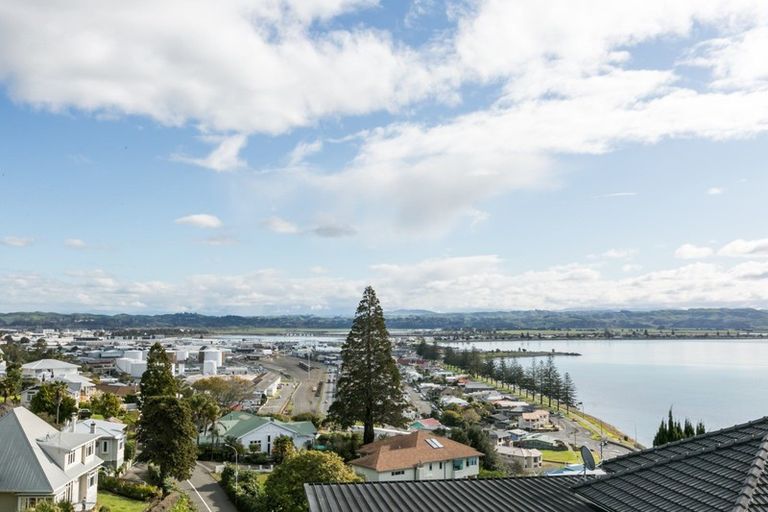 Photo of property in 24 Seapoint Road, Bluff Hill, Napier, 4110