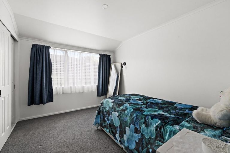 Photo of property in 509 Burnett Street, Mahora, Hastings, 4120