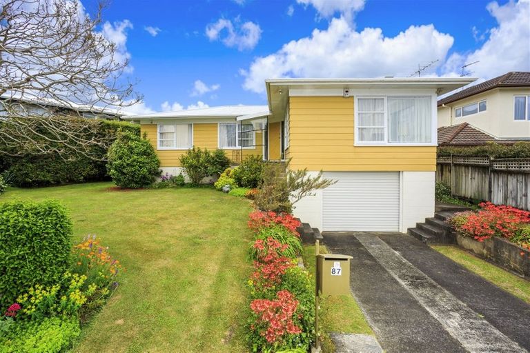Photo of property in 87 Hillcrest Avenue, Hillcrest, Auckland, 0627