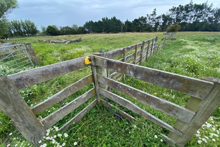 Photo of property in 156 Kawakawa Road, Feilding, 4775