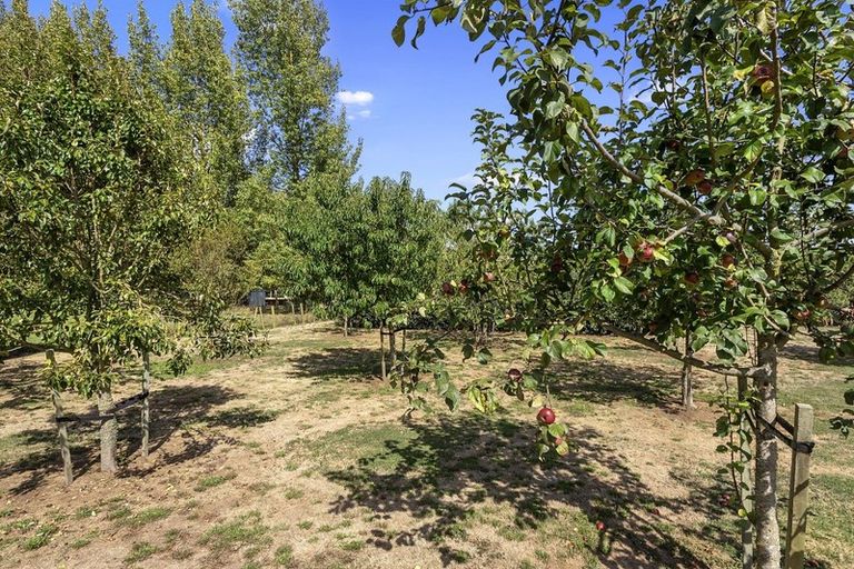 Photo of property in 151 Boyd Road, Gordonton, Hamilton, 3281