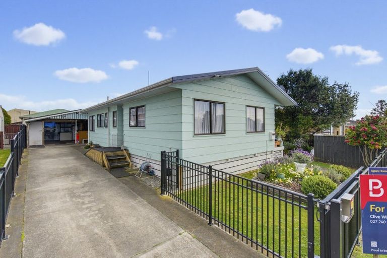 Photo of property in 13 Douglas Street, Levin, 5510