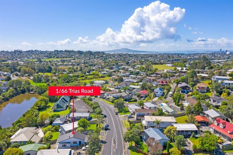 Photo of property in 66a Trias Road, Totara Vale, Auckland, 0629