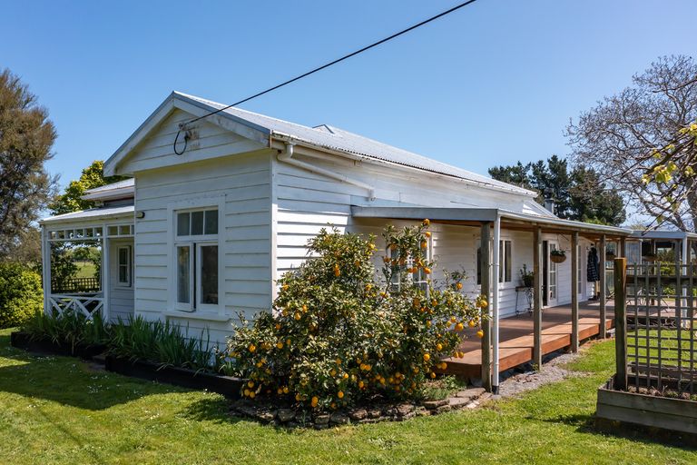 Photo of property in 49 Budd Road, Upper Plain, Masterton, 5888