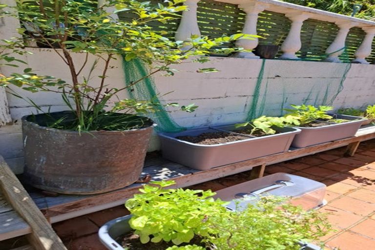 Photo of property in 1/64 Carlisle Road, Browns Bay, Auckland, 0630