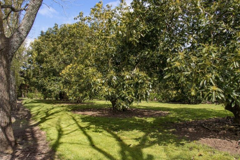 Photo of property in 19 Henry Road, Katikati, 3129