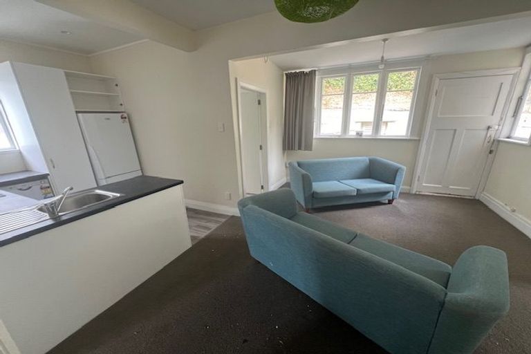 Photo of property in 217 Aro Street, Aro Valley, Wellington, 6021